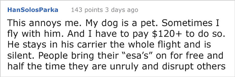 service dogs