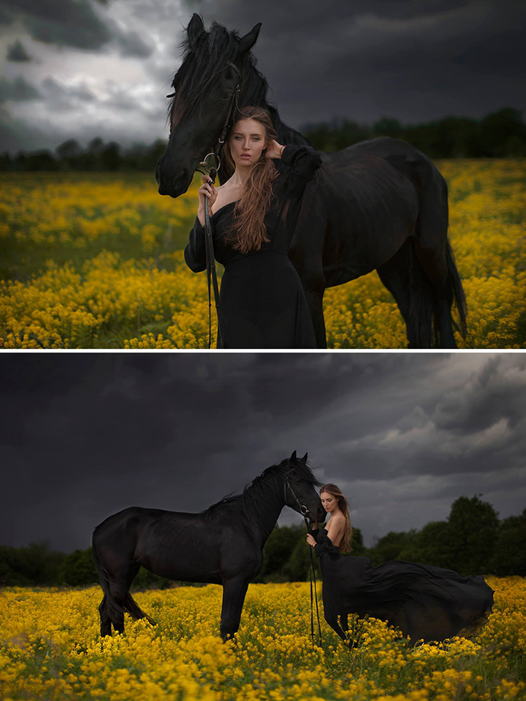 surreal animal photography