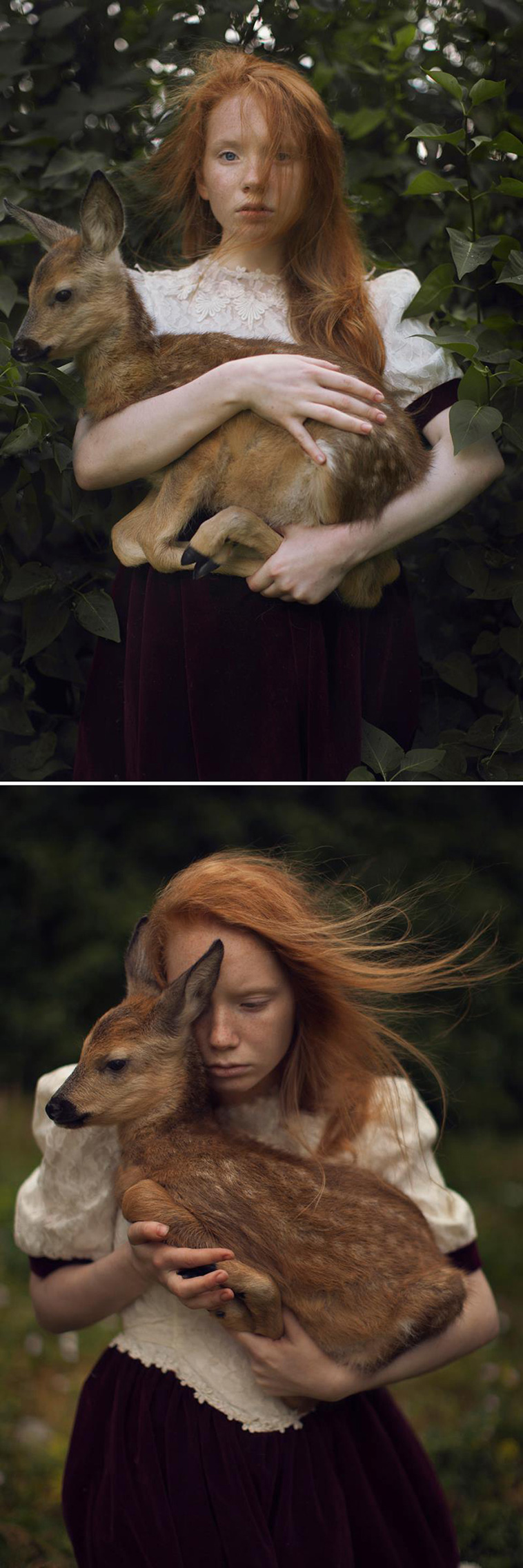 surreal animal photography