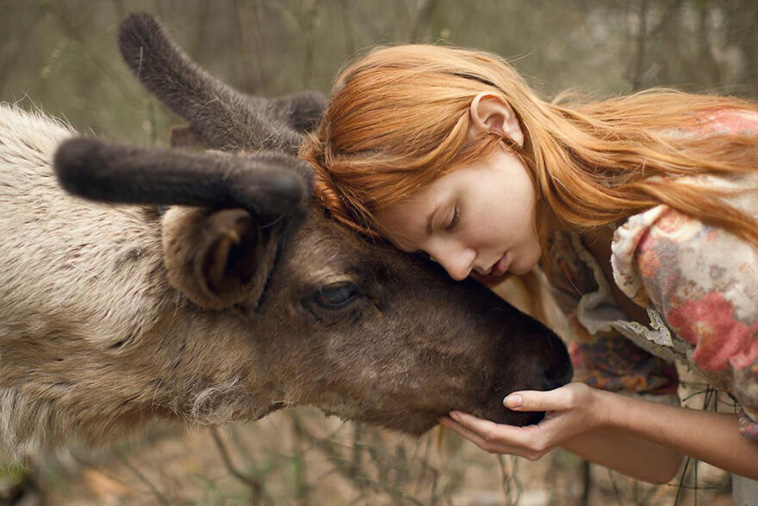 surreal animal photography