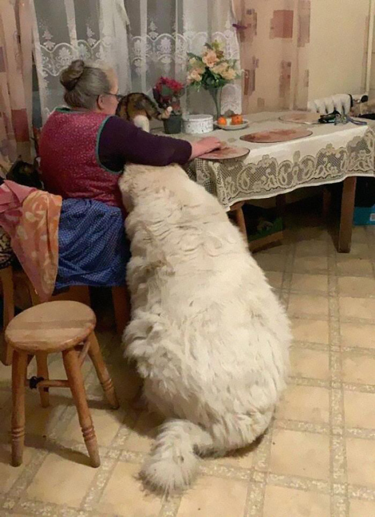 absolute unit