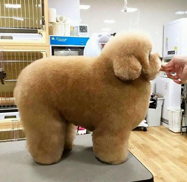 absolute unit