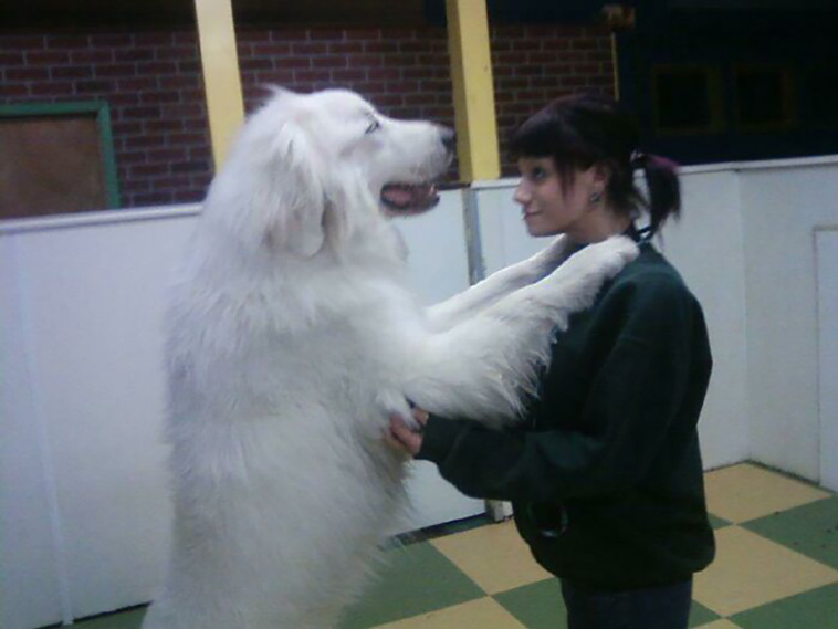 absolute unit