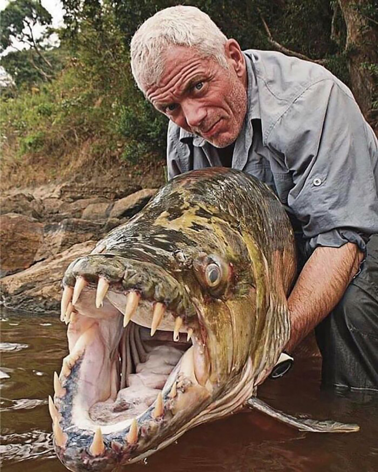 absolute unit