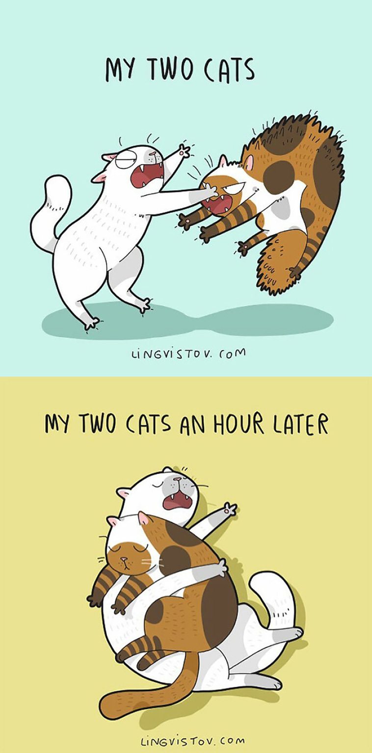 cat owners