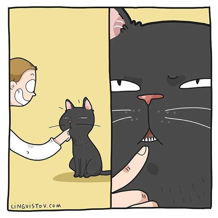 cat owners