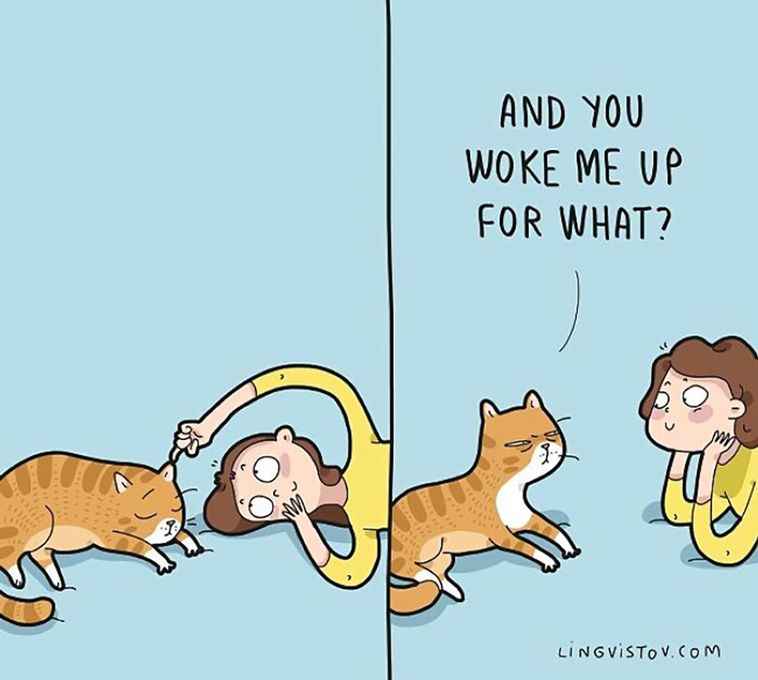 cat owners