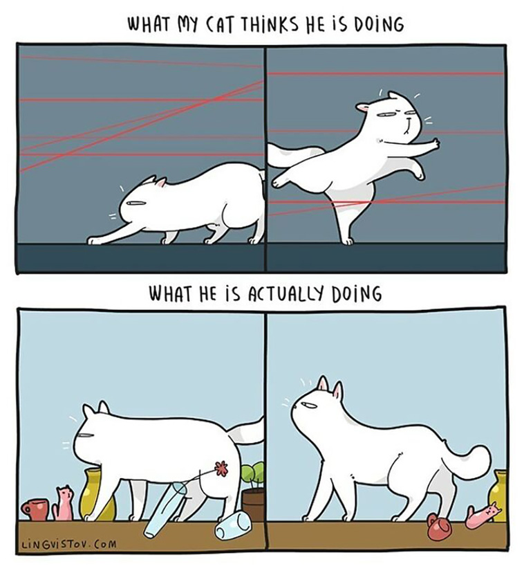 cat owners