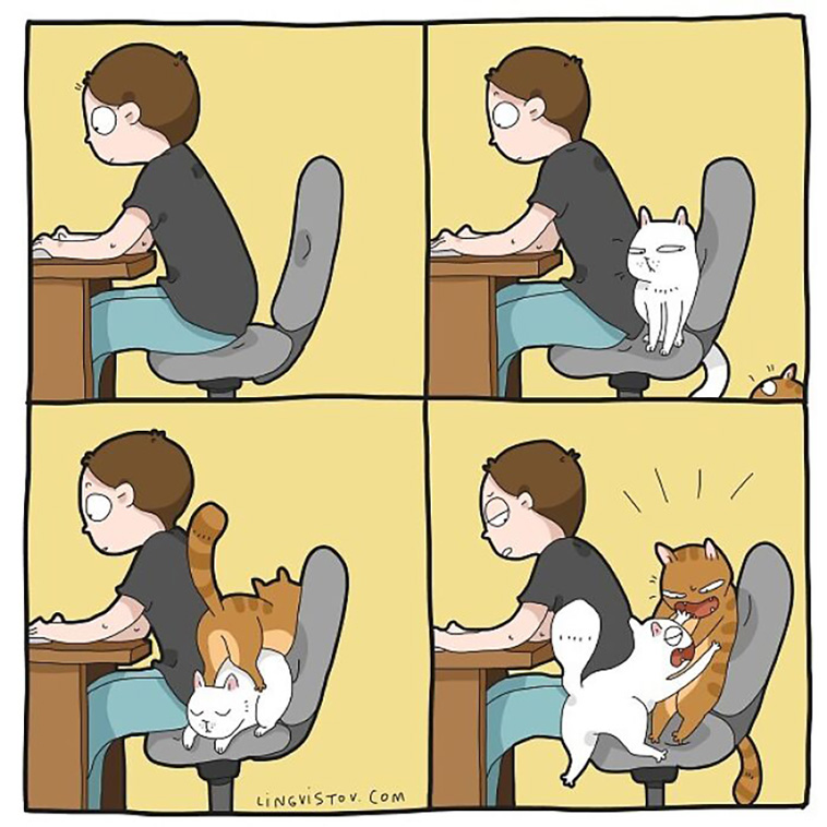 cat owners