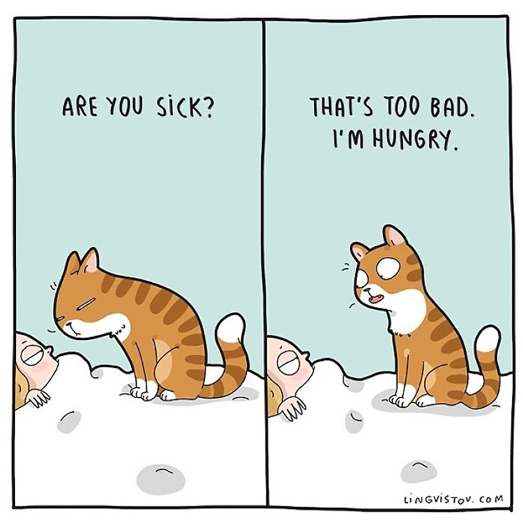 cat owners