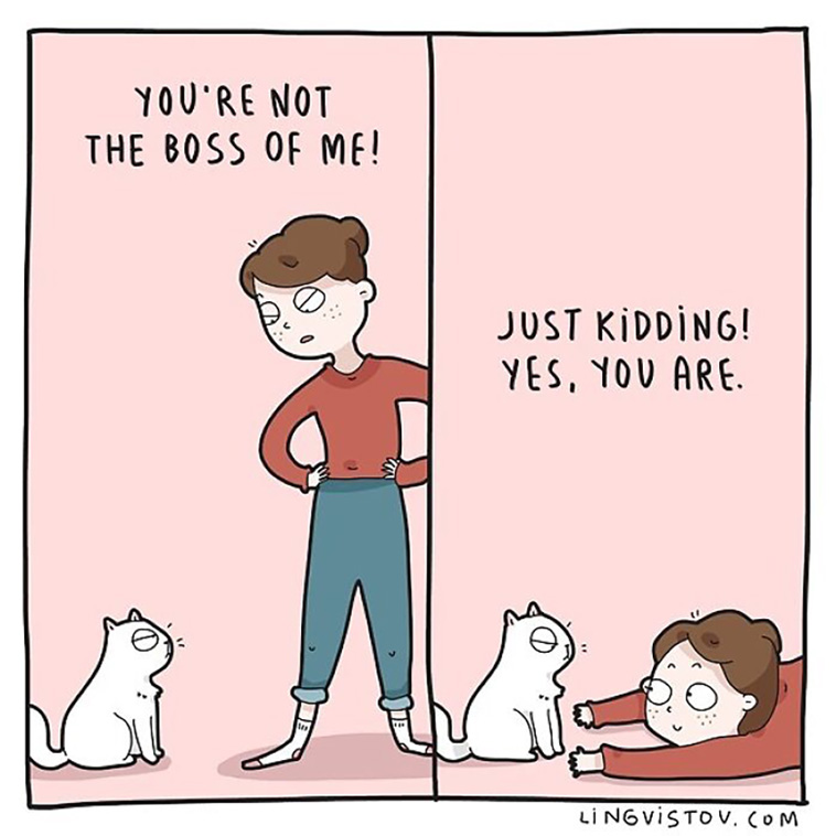 cat owners