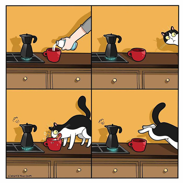cat owners