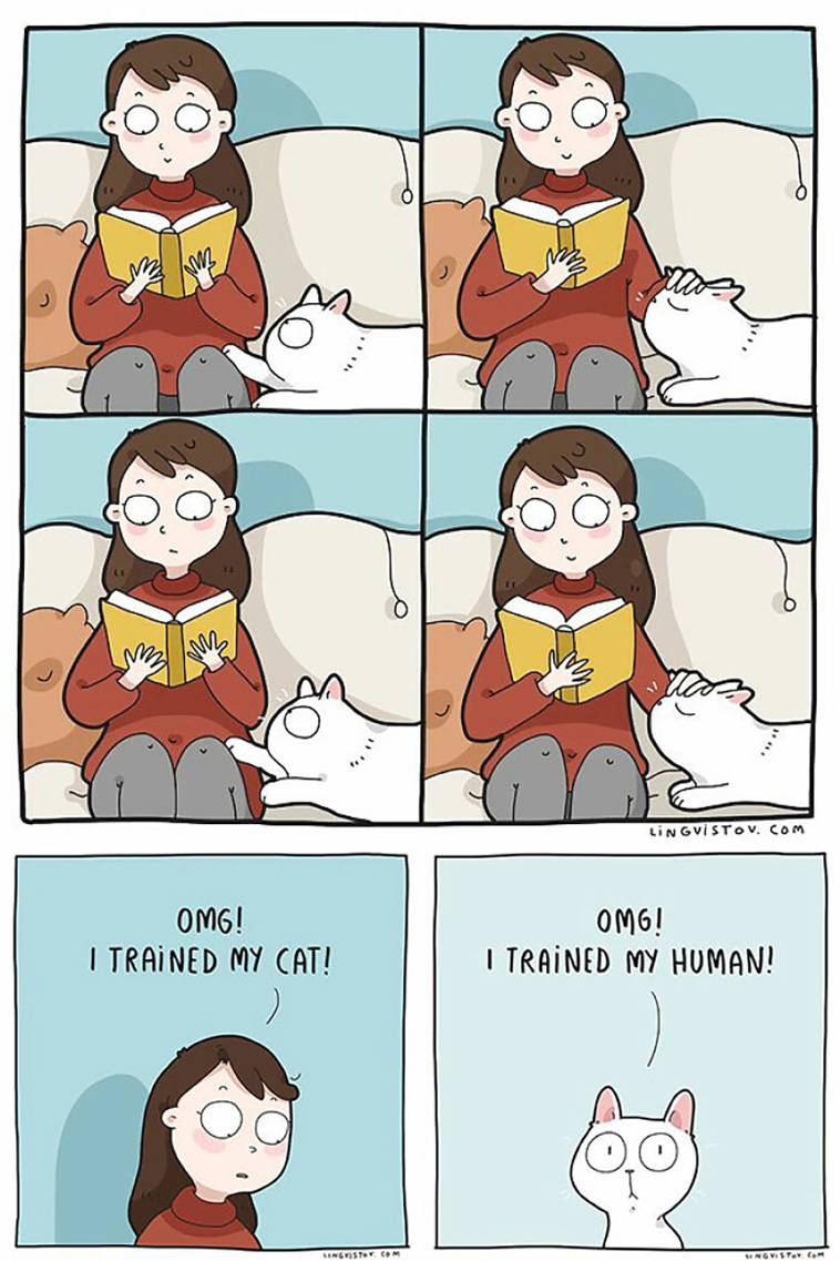 cat owners