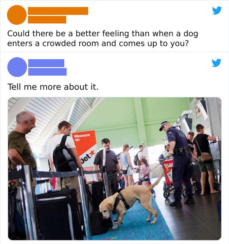 cursed comments