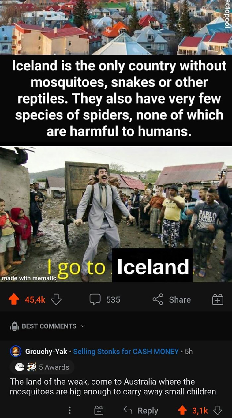 cursed comments