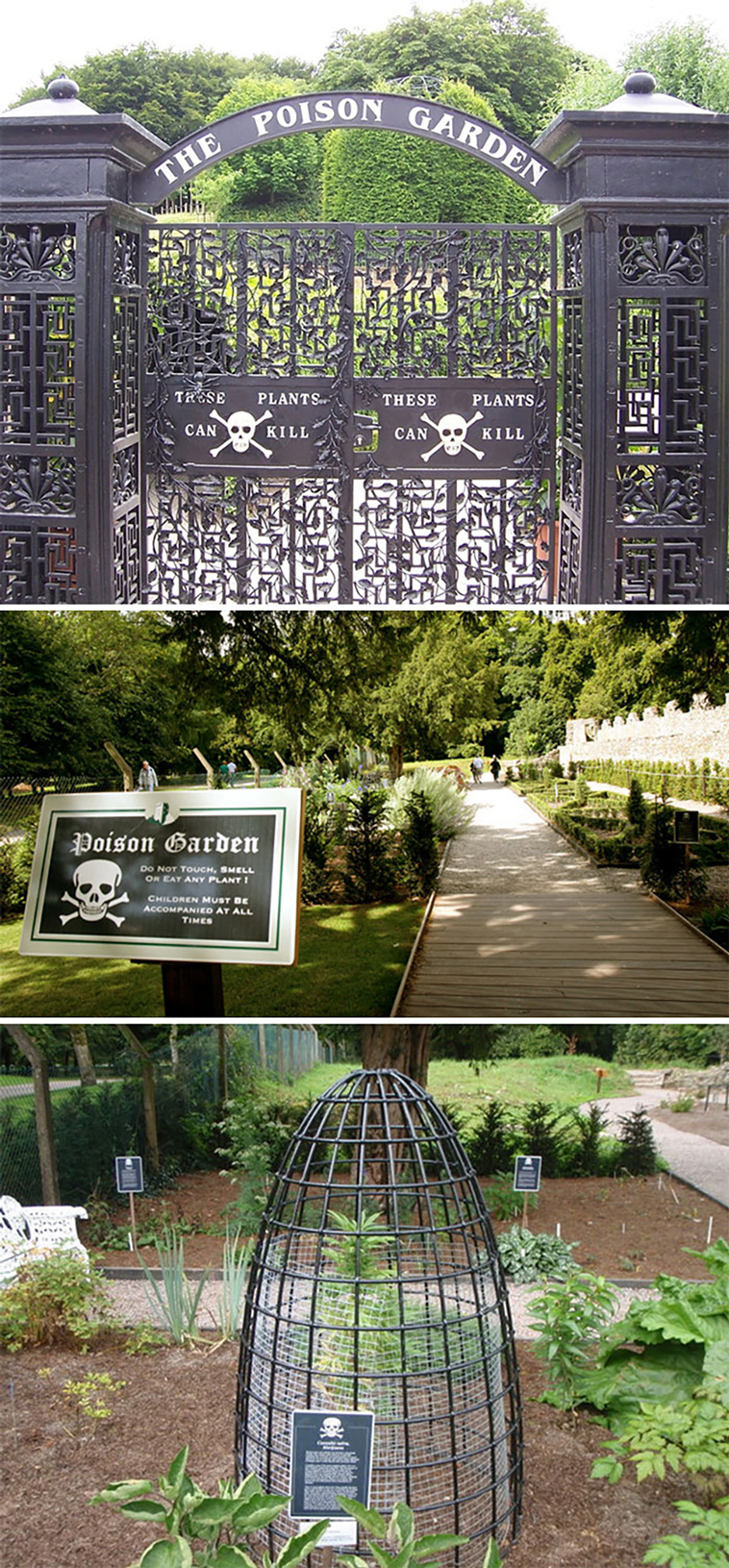 gardening ideas