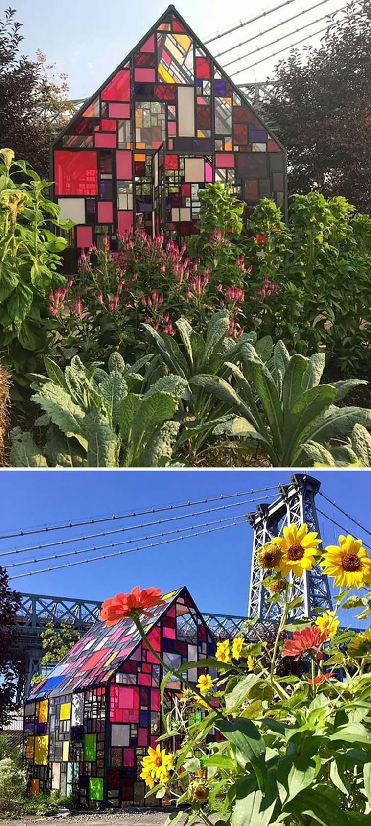 gardening ideas