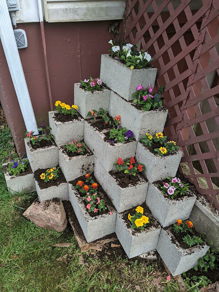 gardening ideas