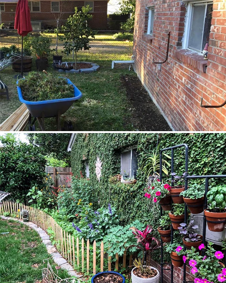 gardening ideas