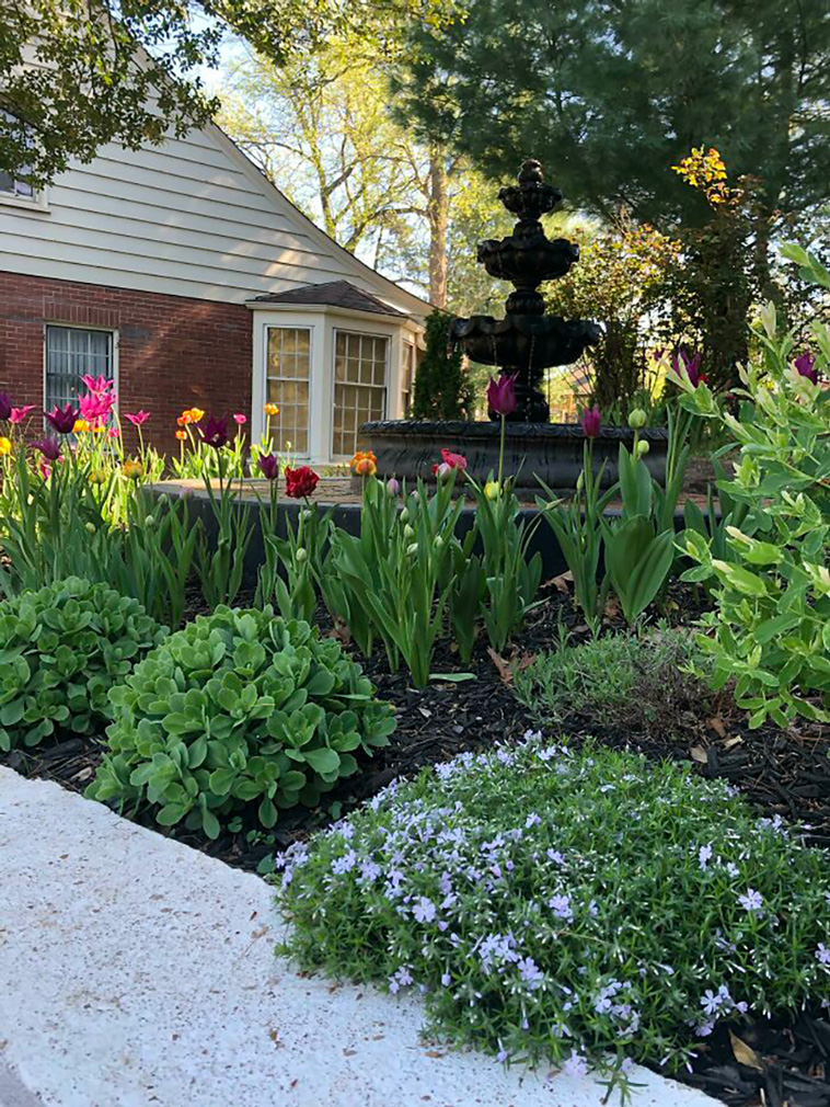 gardening ideas