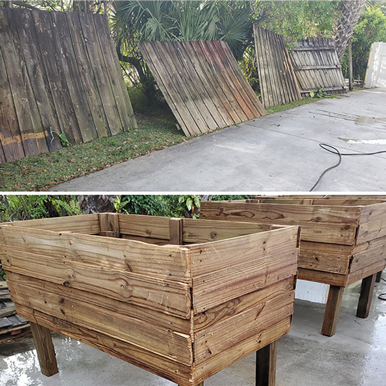 gardening ideas