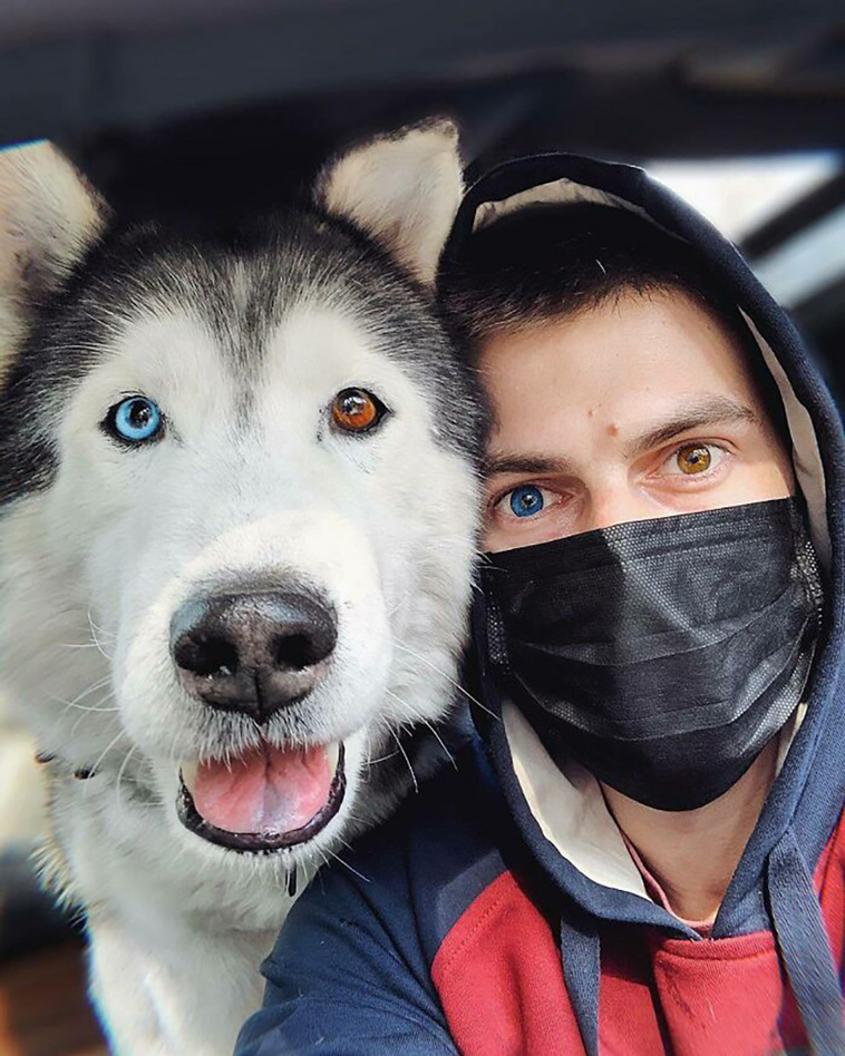 lovely dogs