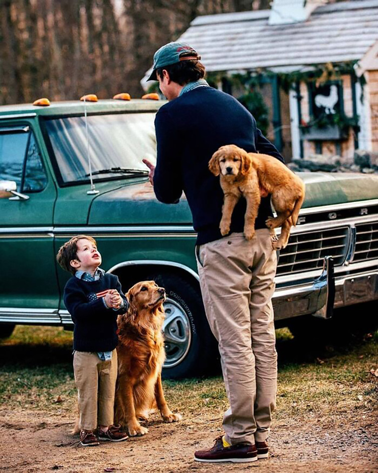 lovely dogs
