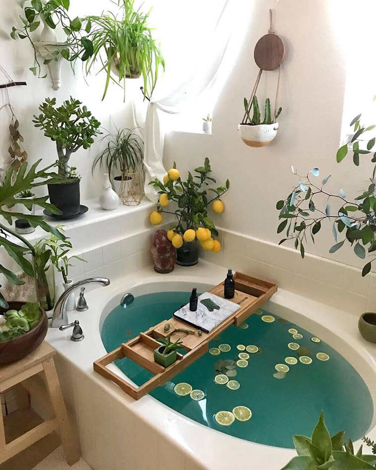 Indoor Gardens