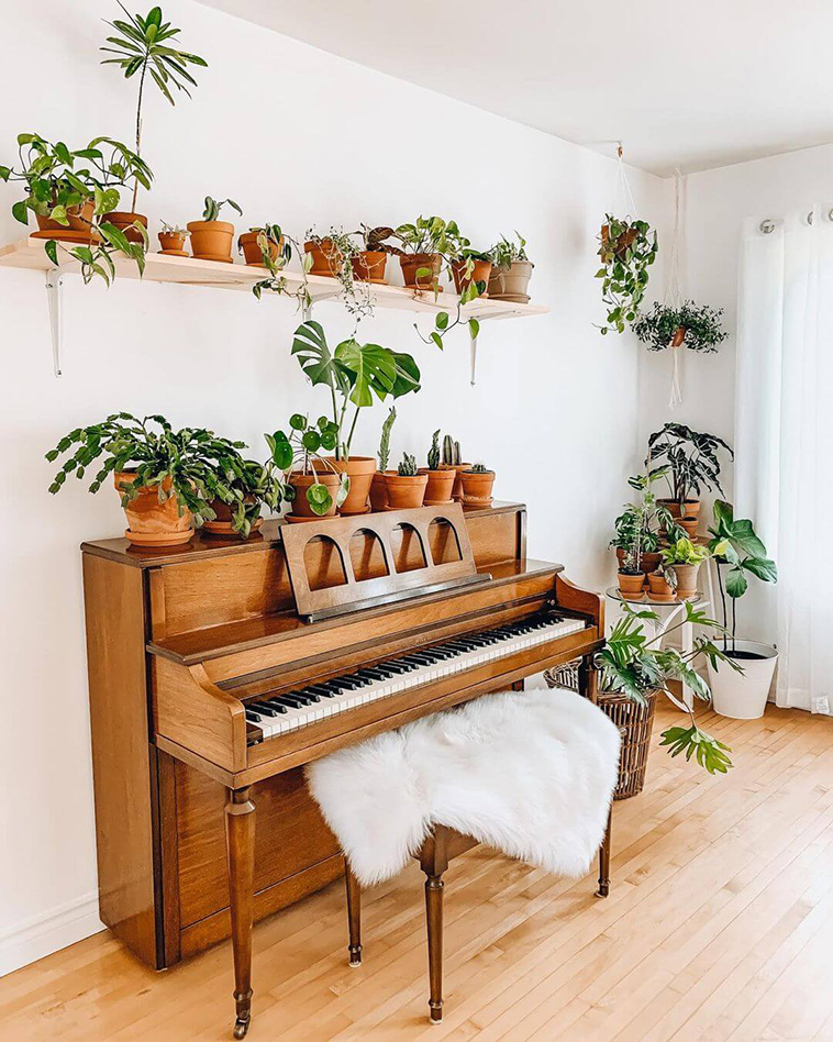 Indoor Gardens
