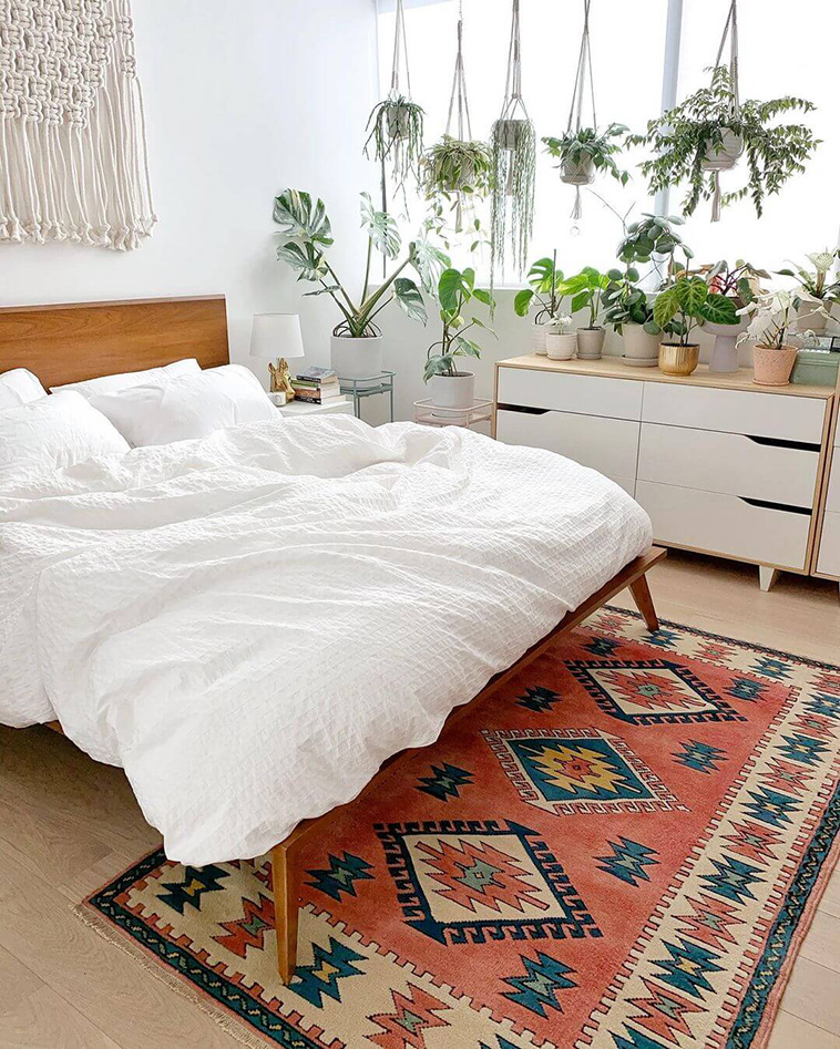 Indoor Garden