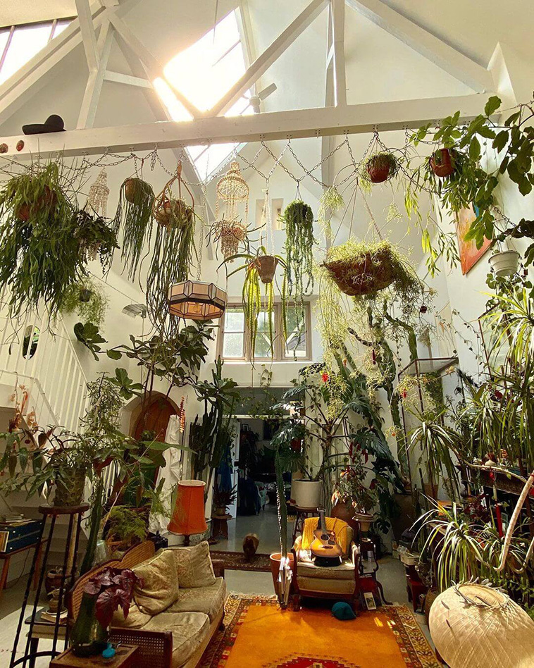 Indoor Garden