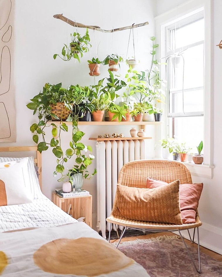 Indoor Garden