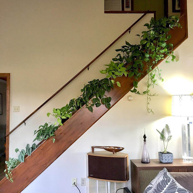 Indoor Gardens