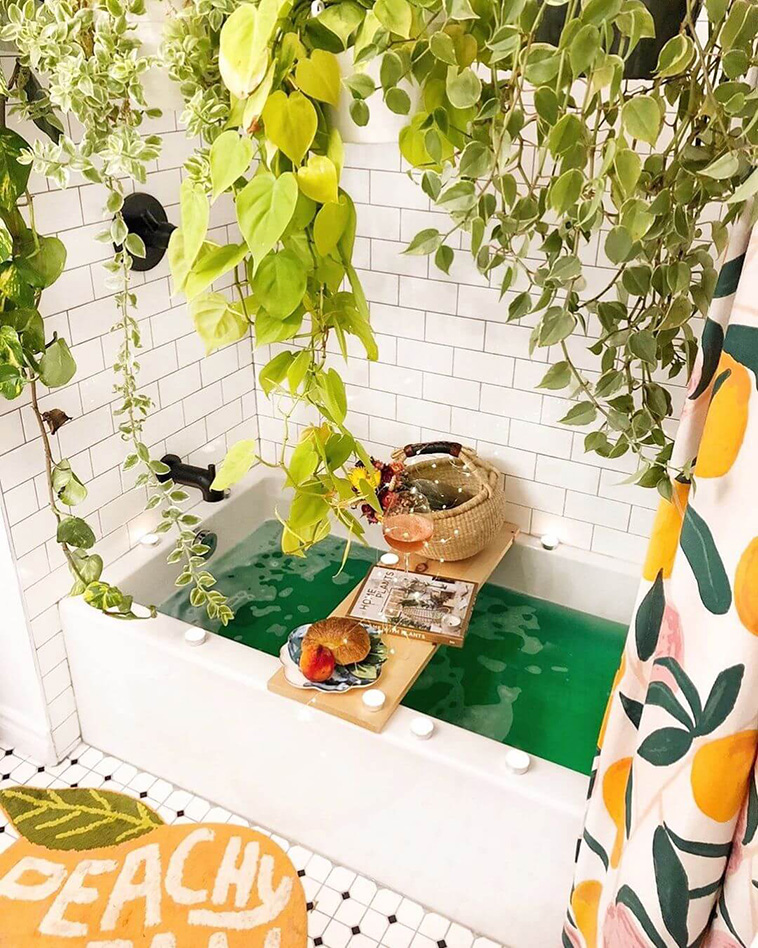 Indoor Garden