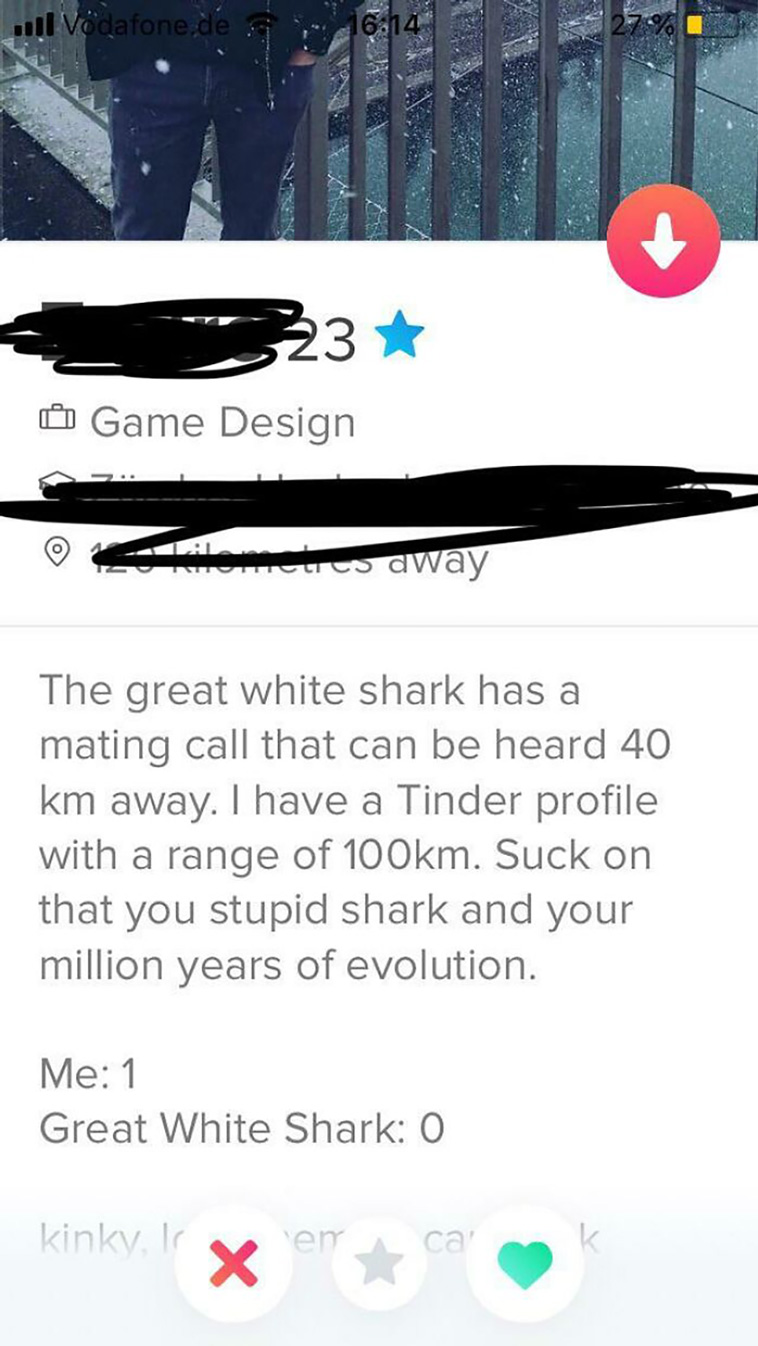 tinder profiles