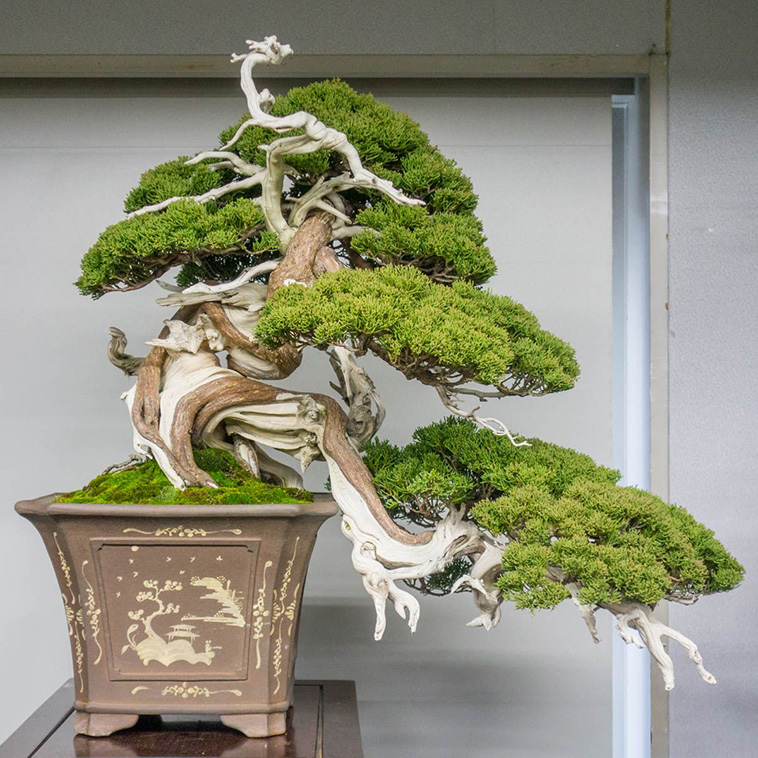 unique trees