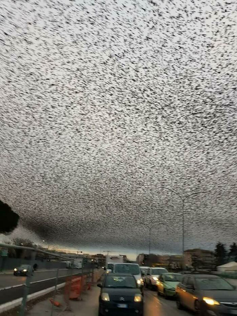 weird creepy photos