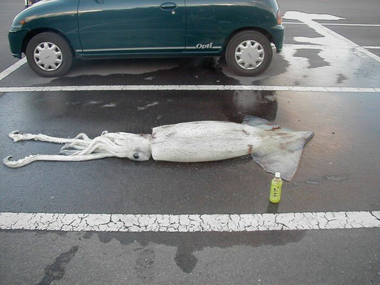 weird creepy photos
