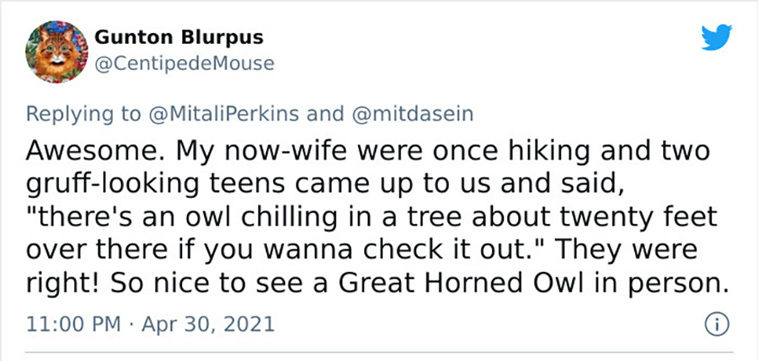 wholesome strangers