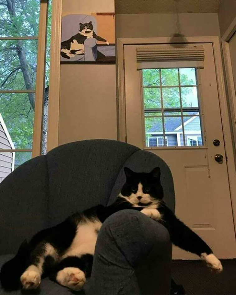 animal photographs