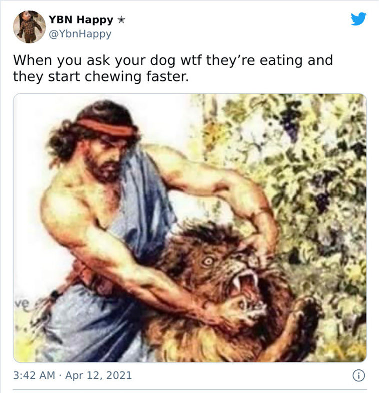 have a dog