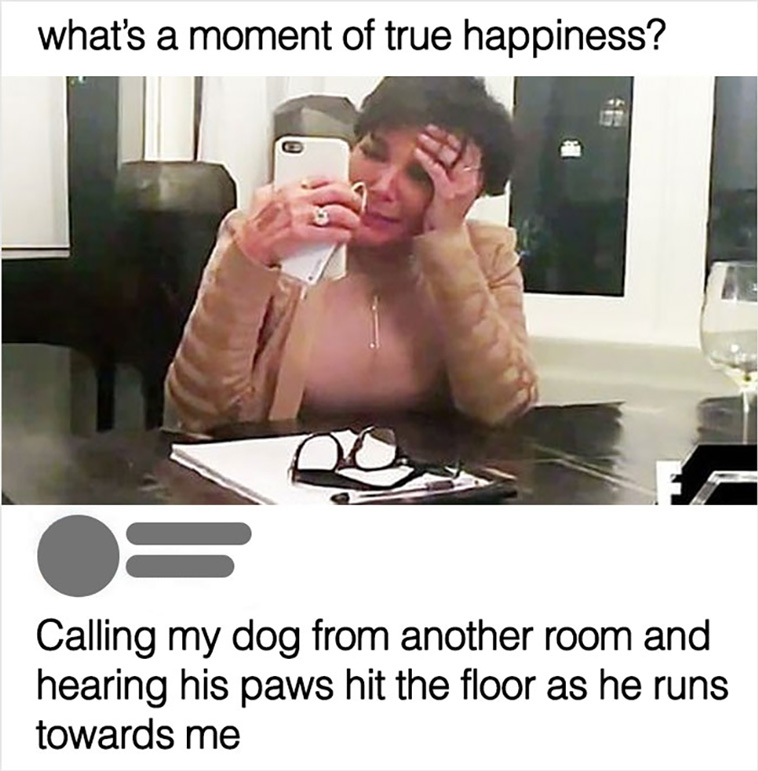 have a dog