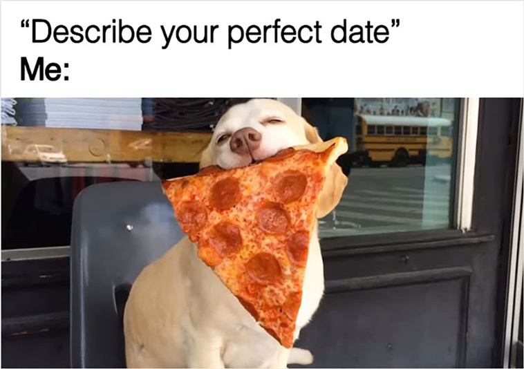 have a dog