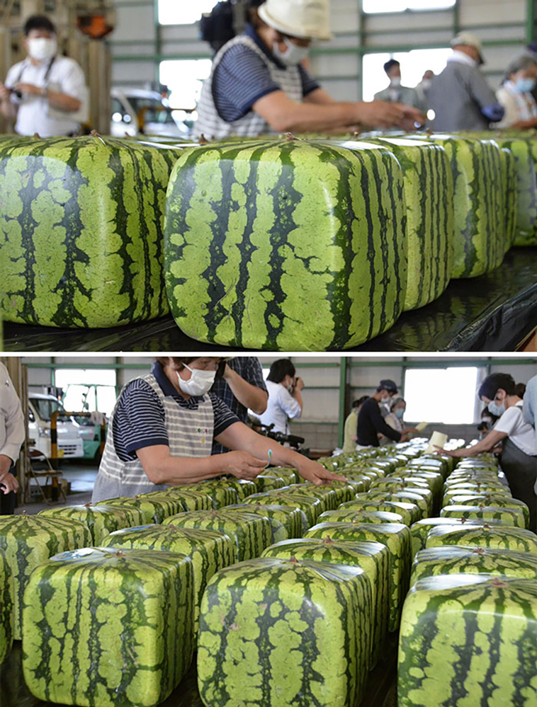 japan different