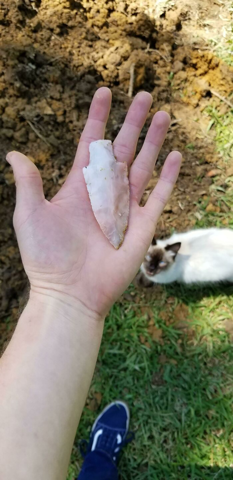 mildly interesting