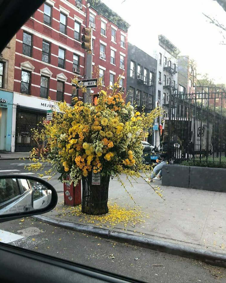 new york scenes