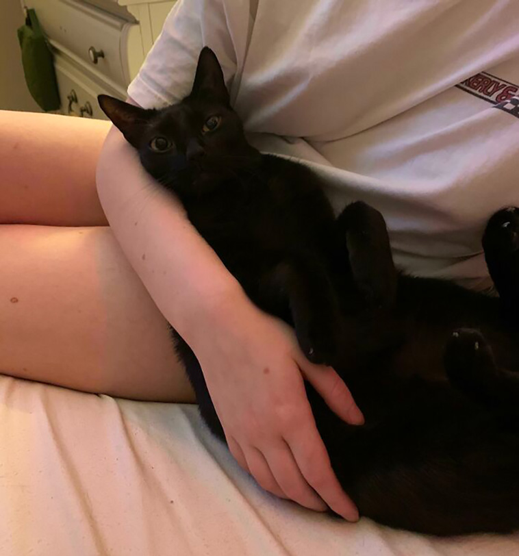 rescued pets