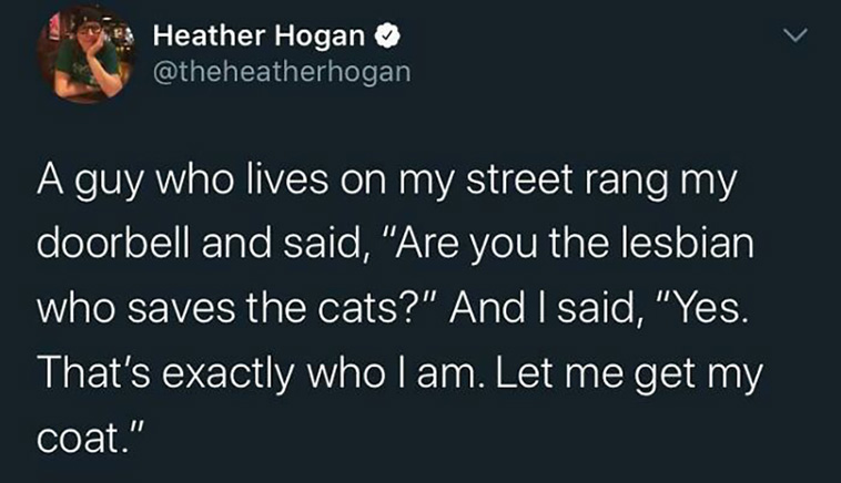 new sentence