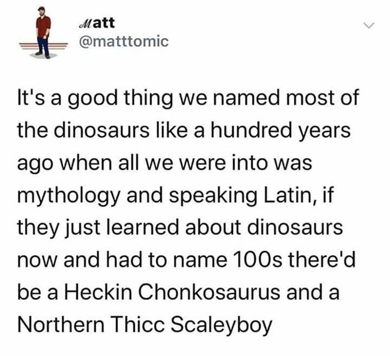 new sentence