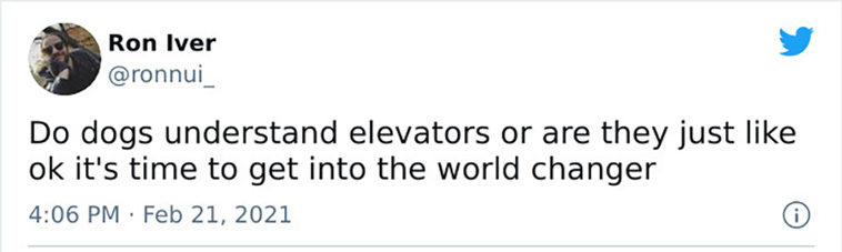 new sentence